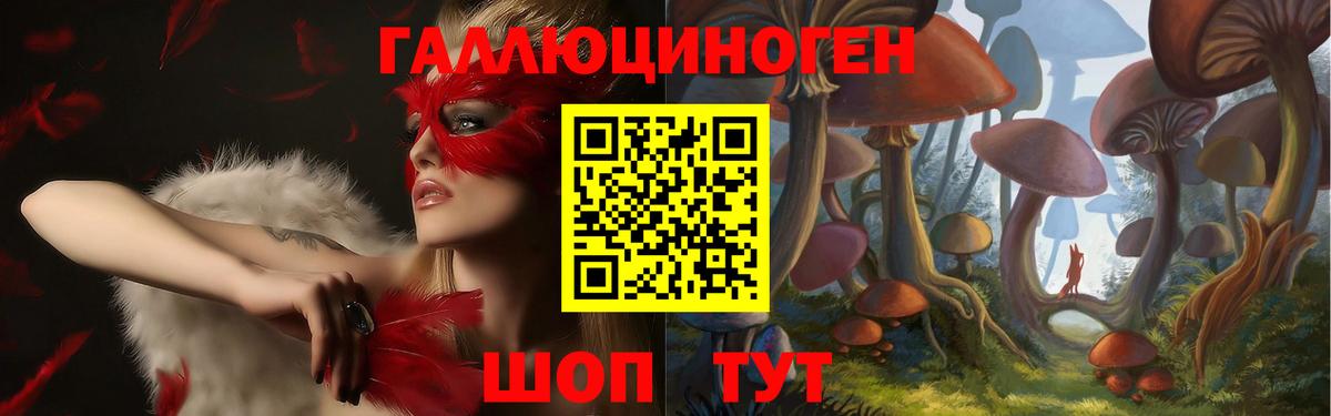 Белогорск  Псилоцибиновые грибы GOLDEN TEACHER  Вход с VPN 
